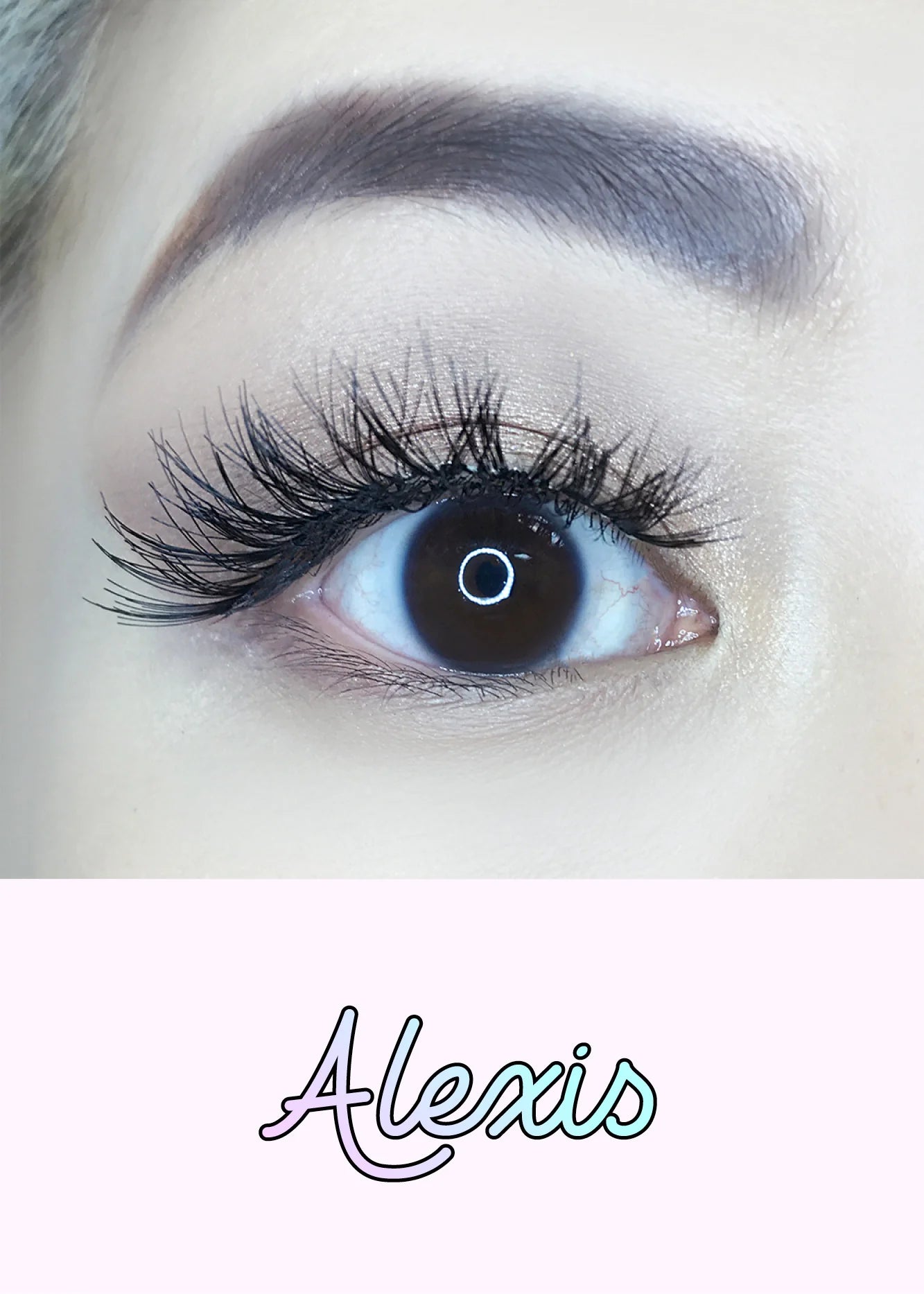 STUDIO EYELASHES - ALEXIS 6-PACK